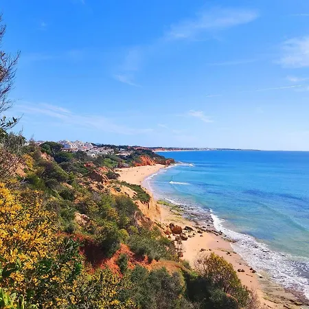 Paradise By Becherish Lejlighed Olhos de Agua (Albufeira)